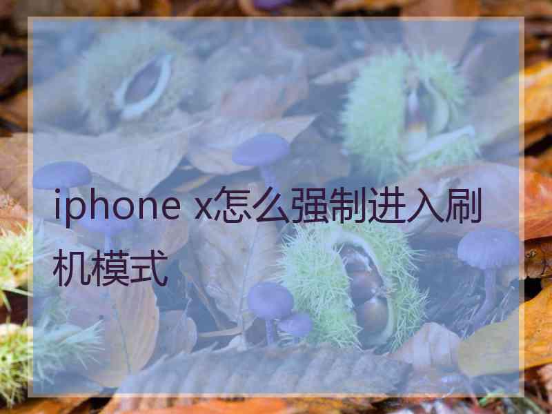 iphone x怎么强制进入刷机模式