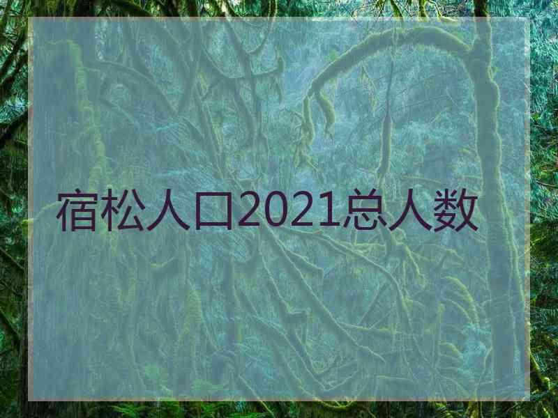 宿松人口2021总人数