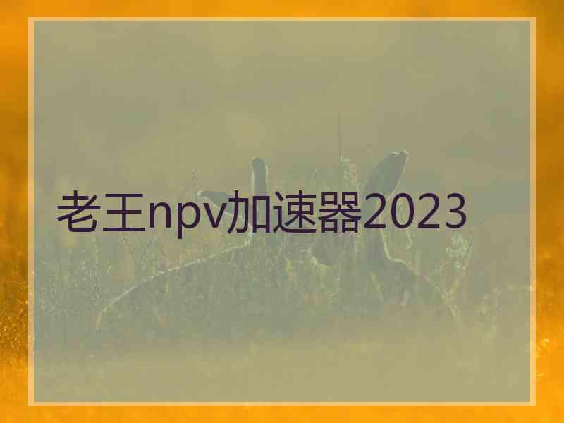 老王npv加速器2023