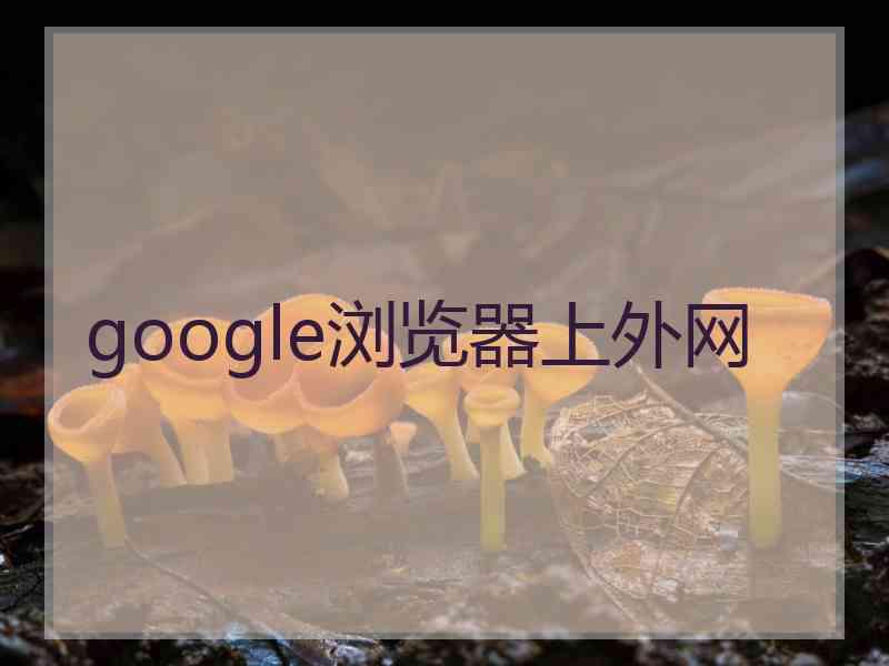 google浏览器上外网