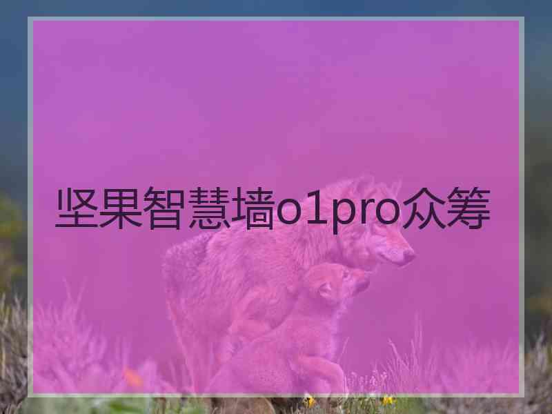 坚果智慧墙o1pro众筹