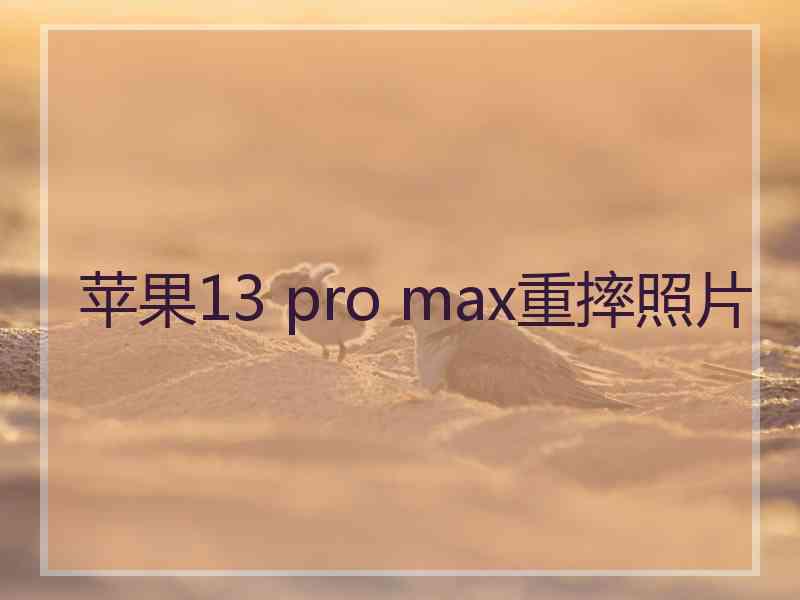 苹果13 pro max重摔照片