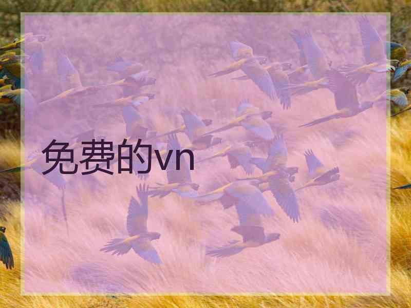 免费的vn