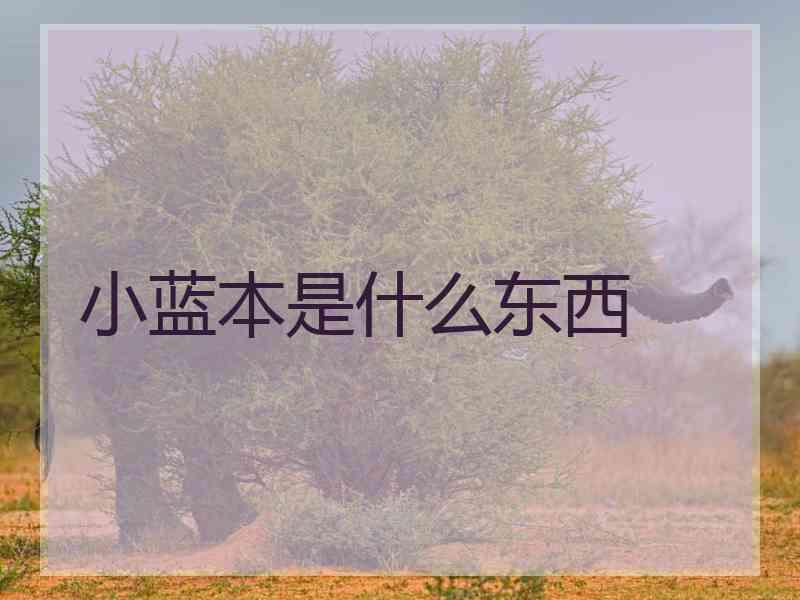 小蓝本是什么东西