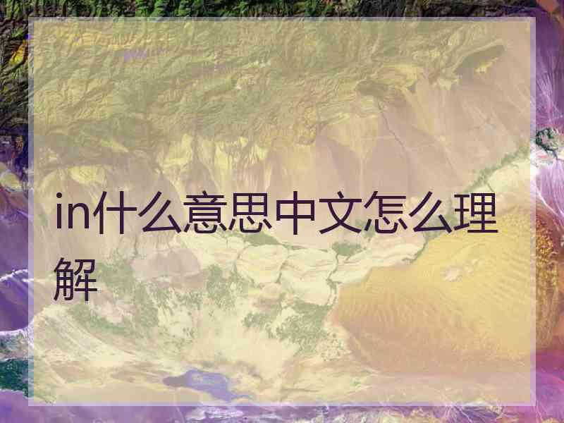 in什么意思中文怎么理解