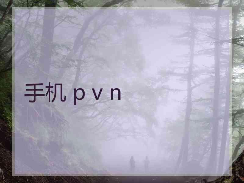 手机 p v n