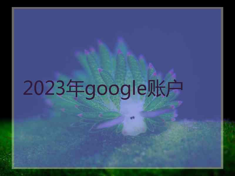 2023年google账户