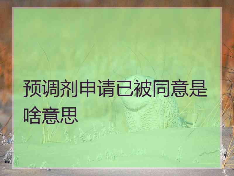 预调剂申请已被同意是啥意思