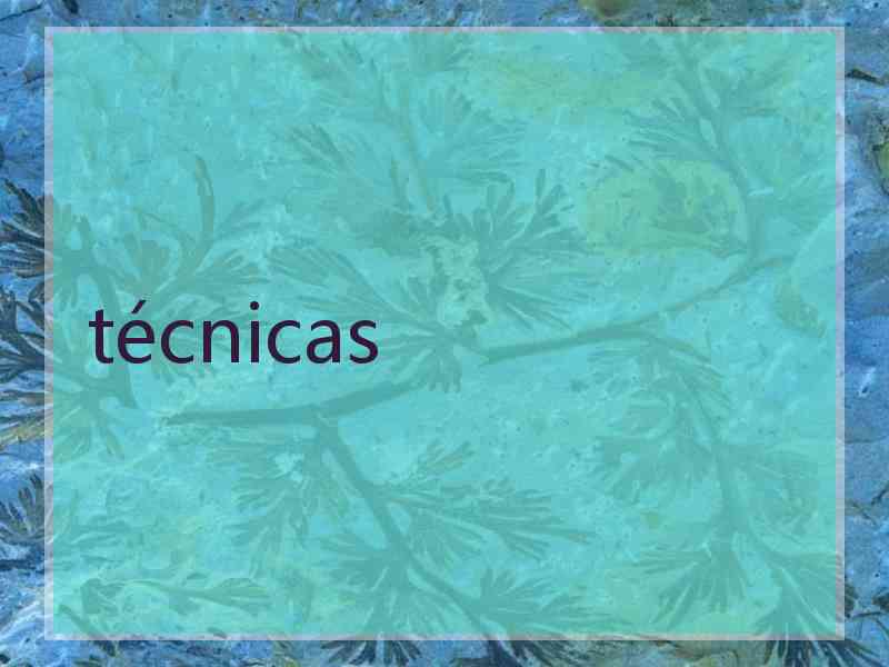 técnicas