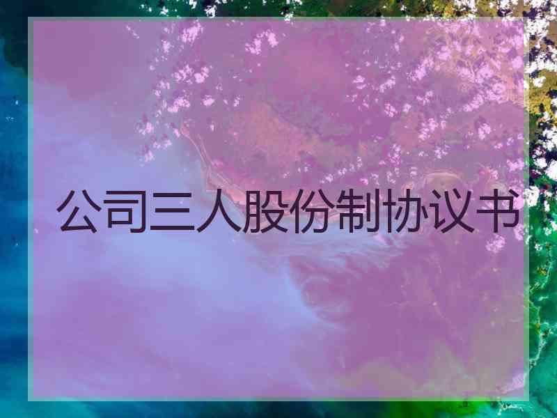 公司三人股份制协议书