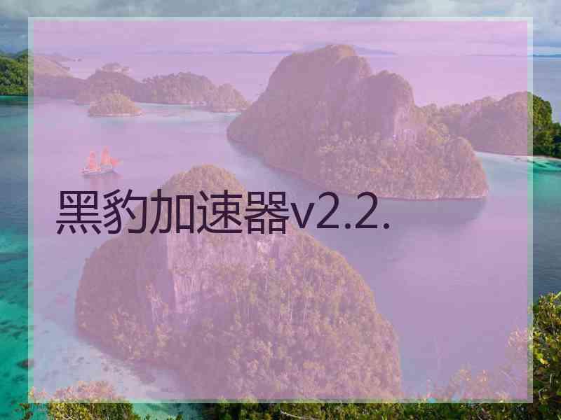 黑豹加速器v2.2.