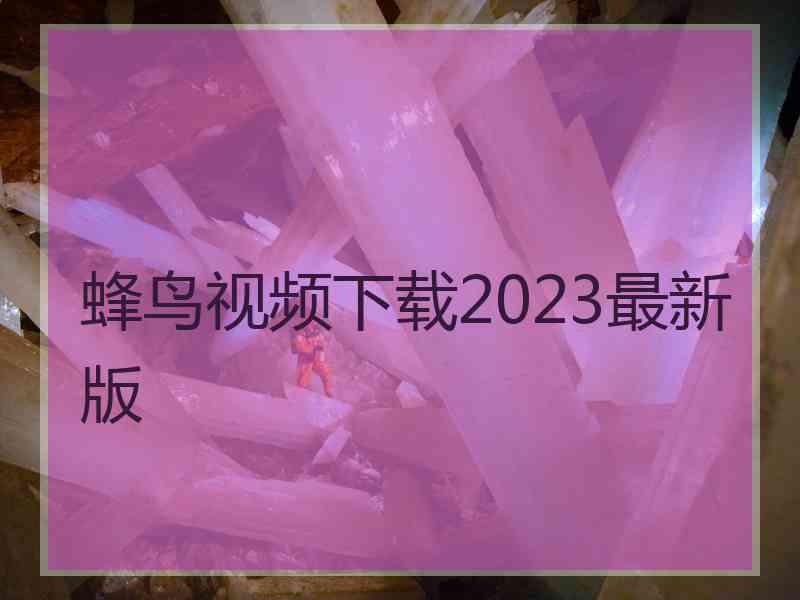 蜂鸟视频下载2023最新版