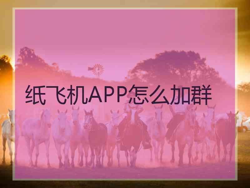 纸飞机APP怎么加群