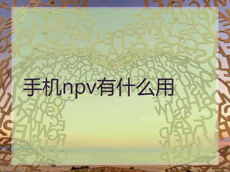 手机npv有什么用