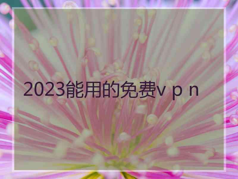 2023能用的免费v p n