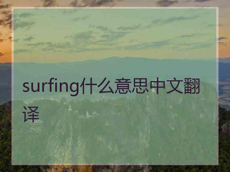 surfing什么意思中文翻译