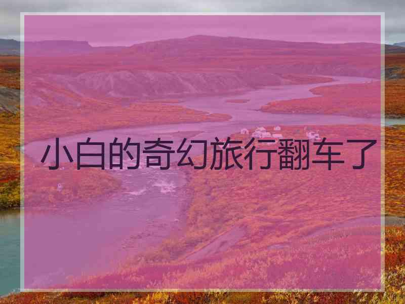 小白的奇幻旅行翻车了