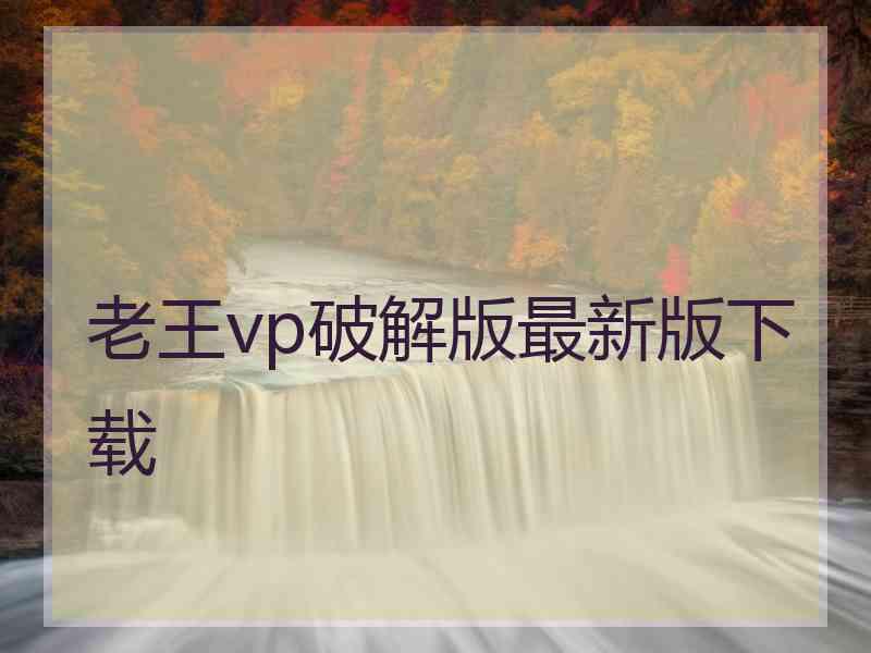 老王vp破解版最新版下载