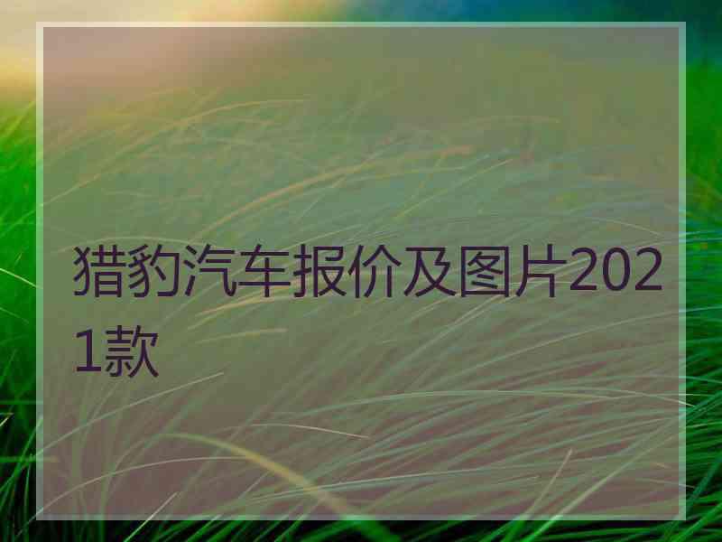 猎豹汽车报价及图片2021款