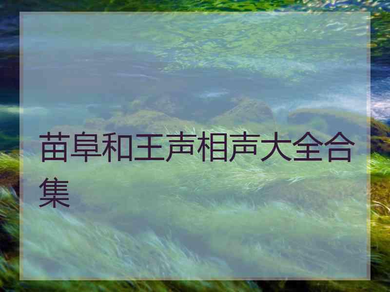 苗阜和王声相声大全合集