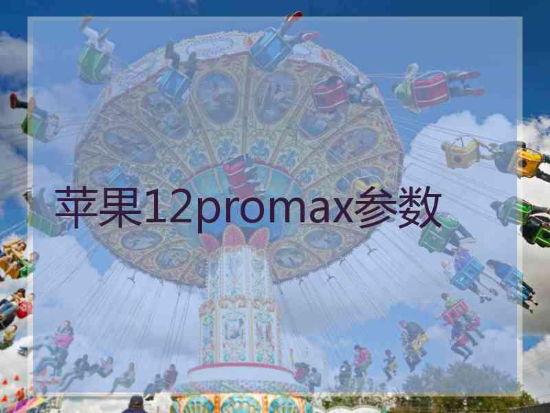 苹果12promax参数