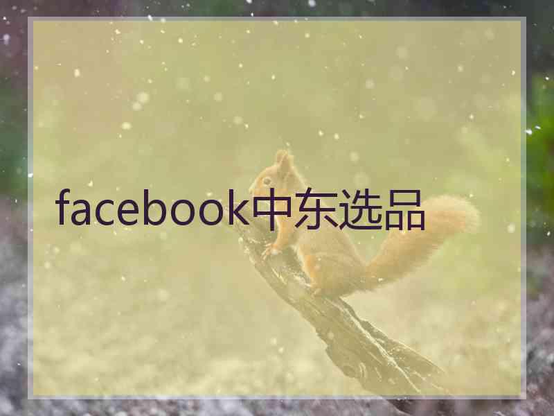 facebook中东选品