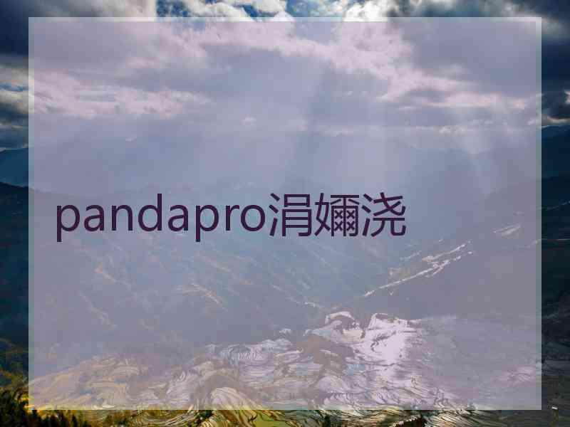 pandapro涓嬭浇