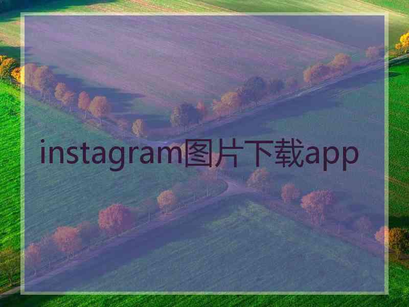 instagram图片下载app