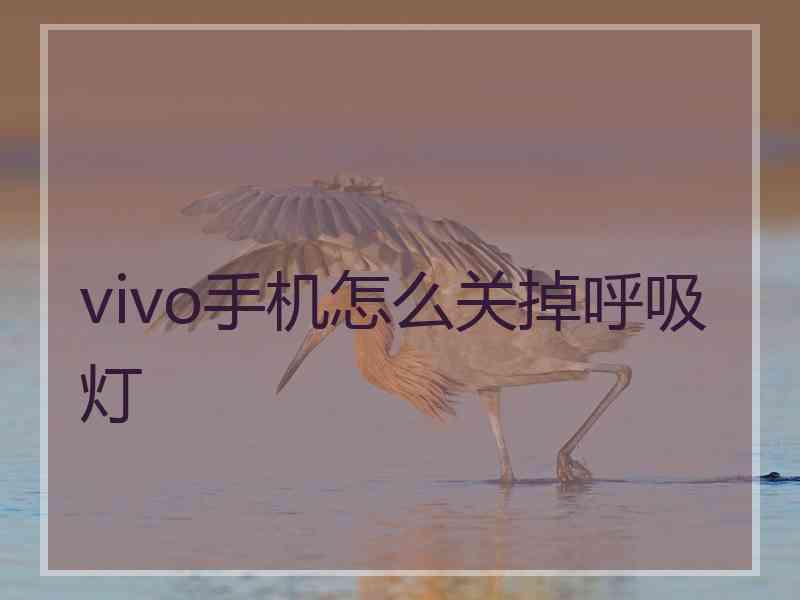 vivo手机怎么关掉呼吸灯