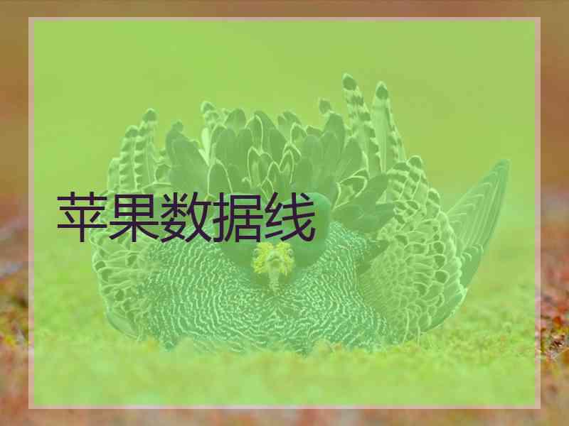 苹果数据线