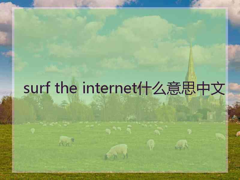 surf the internet什么意思中文