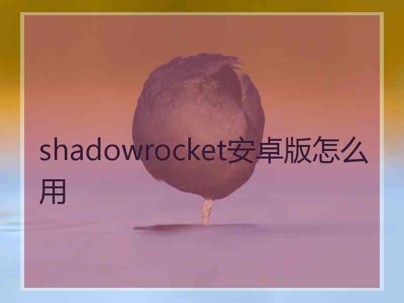 shadowrocket安卓版怎么用