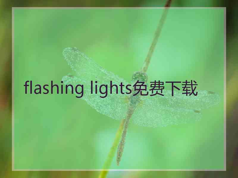 flashing lights免费下载