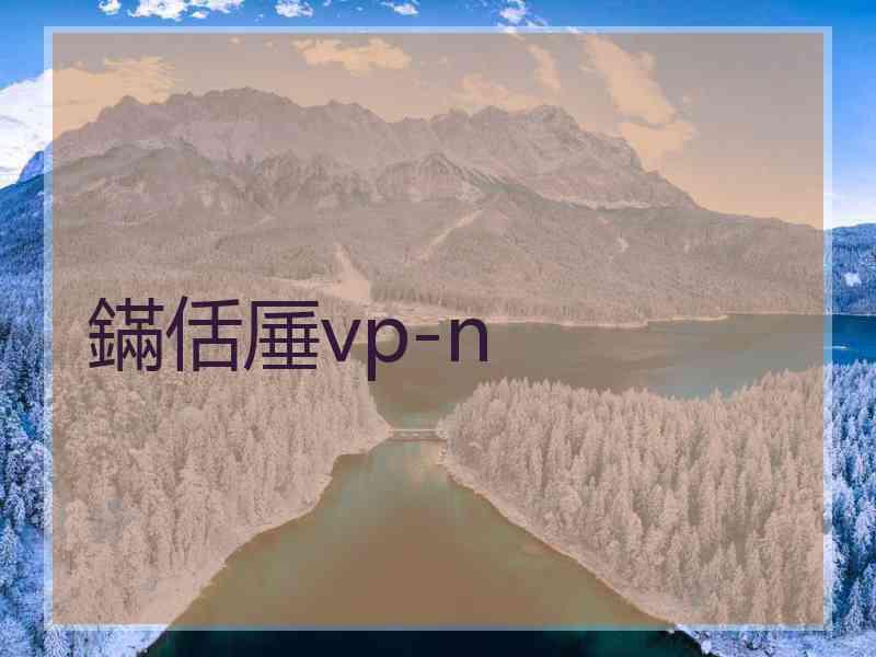 鏋佸厜vp-n