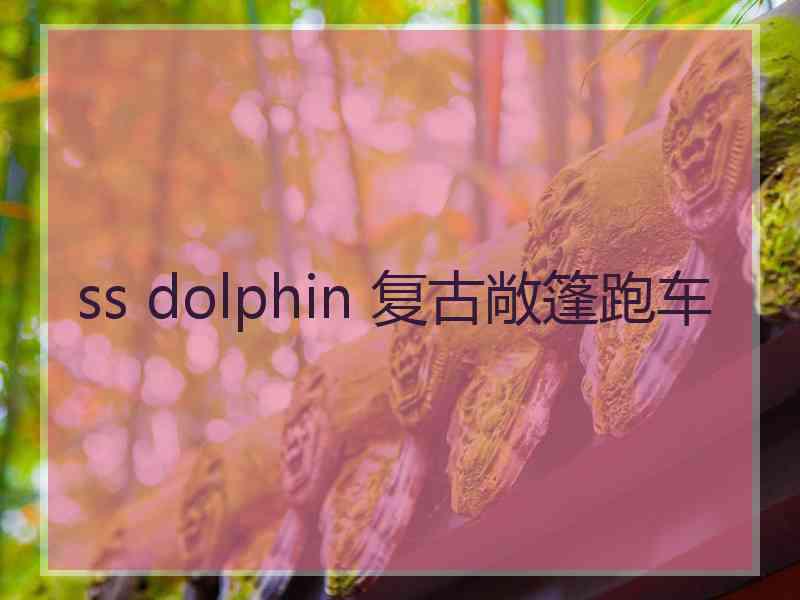 ss dolphin 复古敞篷跑车