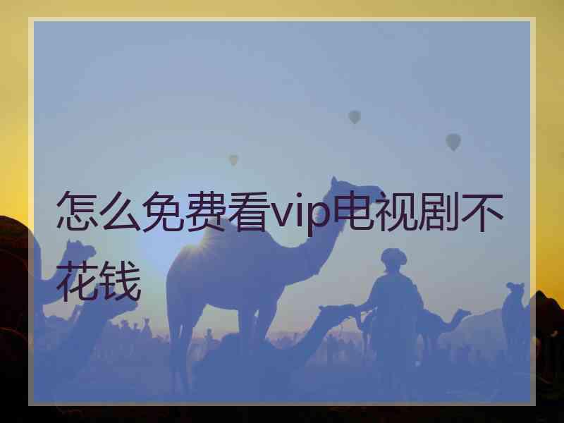 怎么免费看vip电视剧不花钱