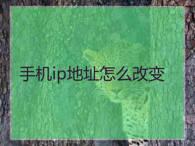 手机ip地址怎么改变