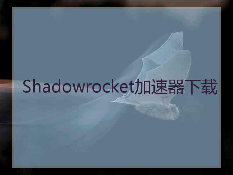 Shadowrocket加速器下载