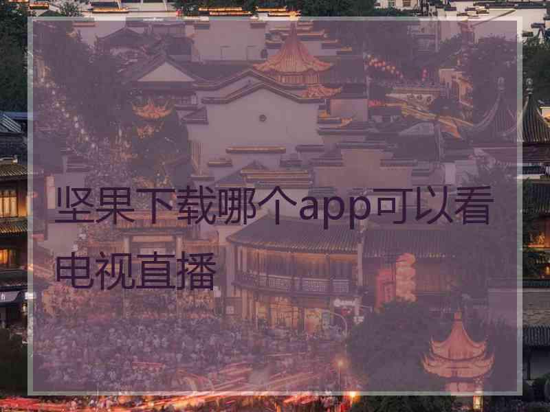 坚果下载哪个app可以看电视直播