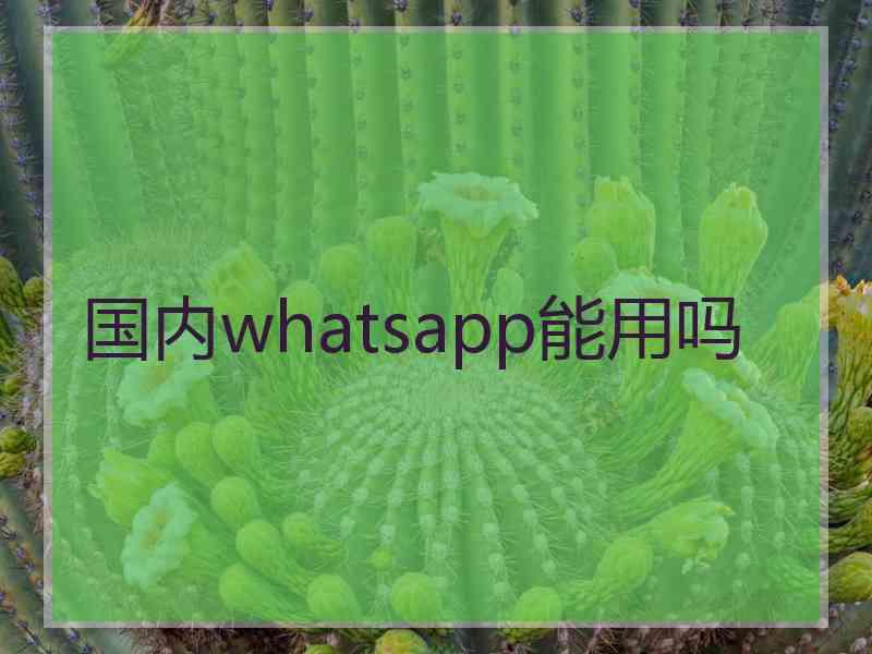 国内whatsapp能用吗