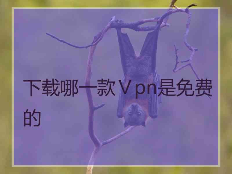 下载哪一款Ⅴpn是免费的