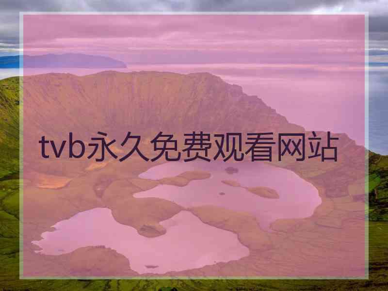 tvb永久免费观看网站