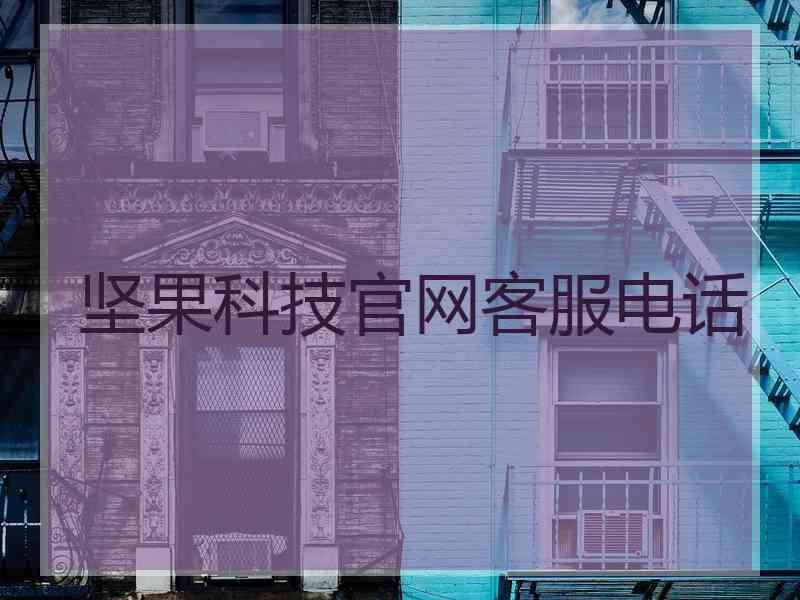 坚果科技官网客服电话