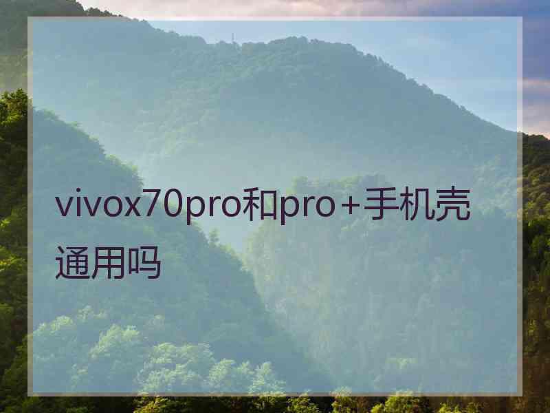 vivox70pro和pro+手机壳通用吗