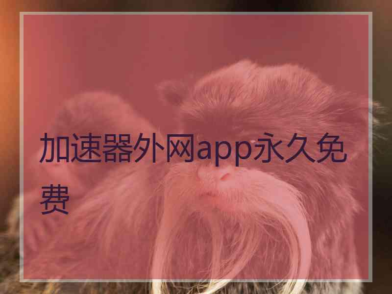 加速器外网app永久免费