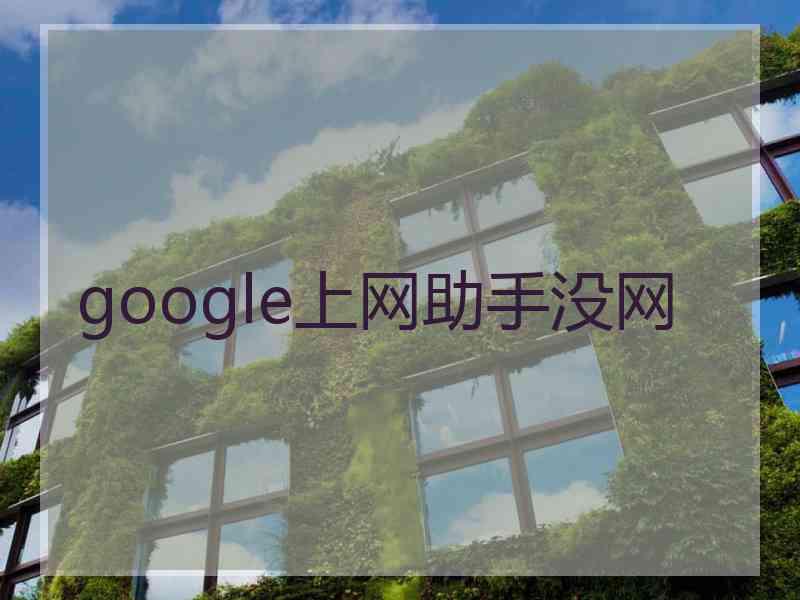 google上网助手没网