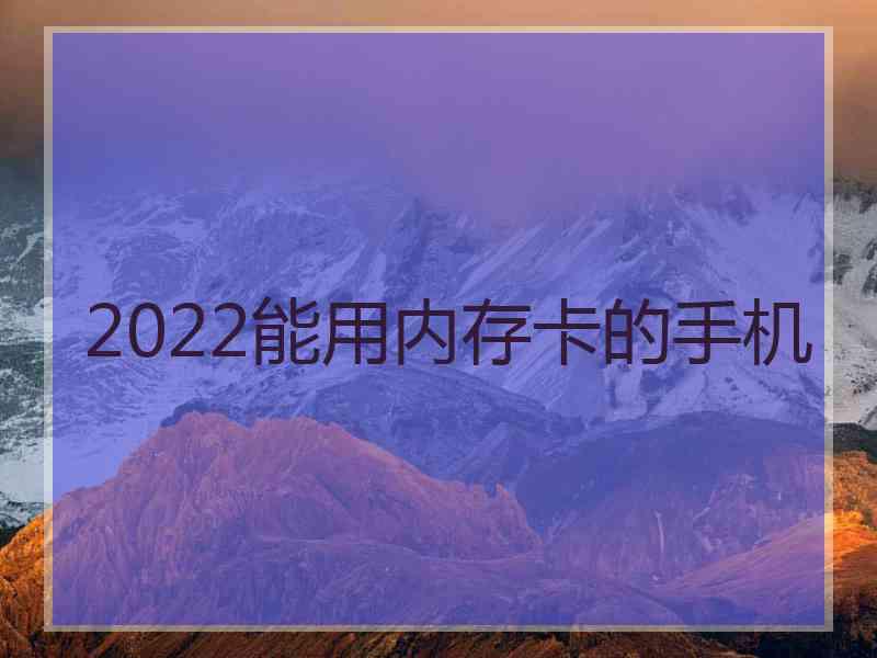 2022能用内存卡的手机