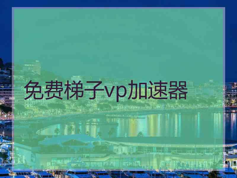 免费梯子vp加速器