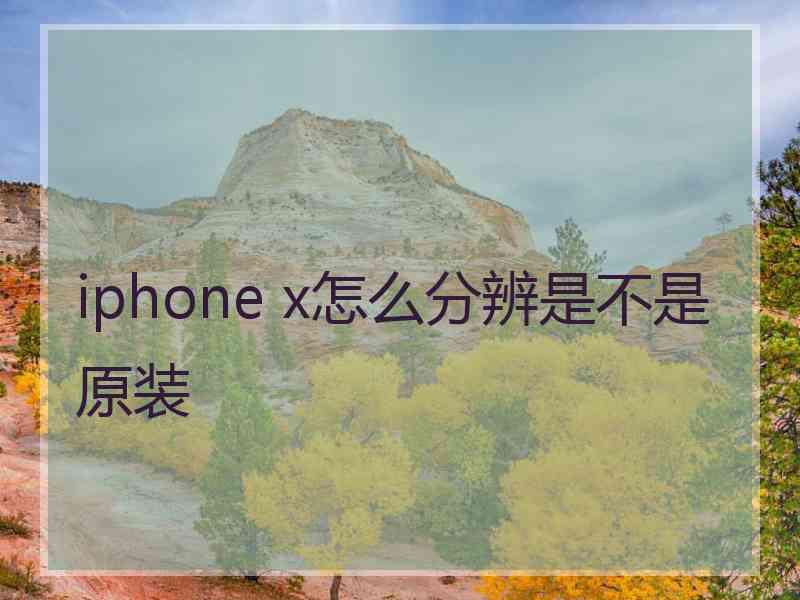 iphone x怎么分辨是不是原装