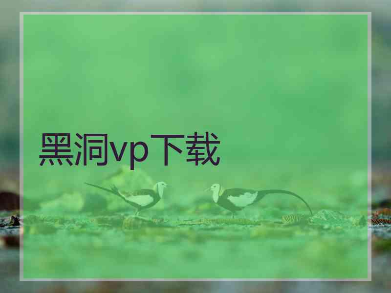 黑洞vp下载